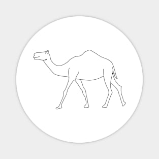 camel Magnet